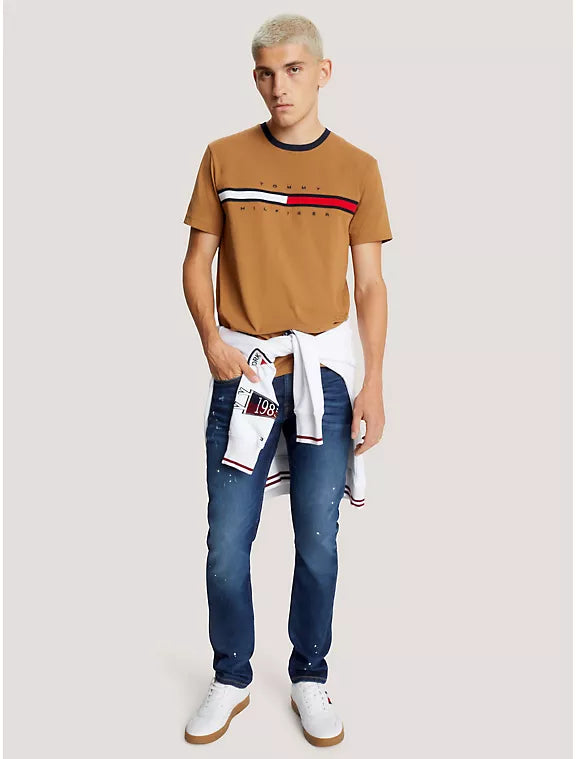 Camiseta Tommy Hilfiger